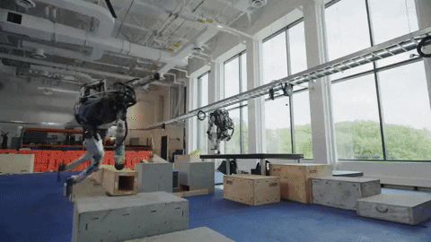 alanpmartin giphyupload GIF