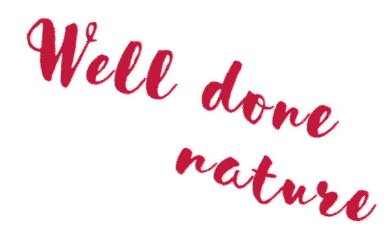 girl beauty Sticker by Clarins Russia