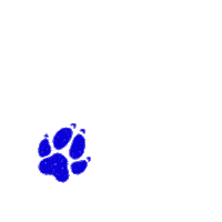 Paw Sticker