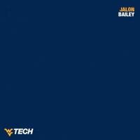 Basketball GIF by WVU Tech Golden Bears