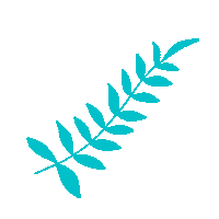 Leaves Decor Sticker by Mes Ptits Bouts Du Monde