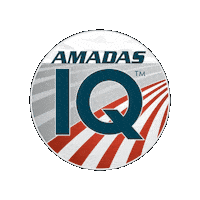 Iq Sticker by AMADAS Industries