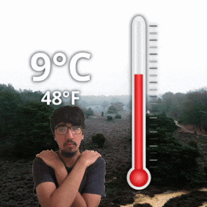 9 °C