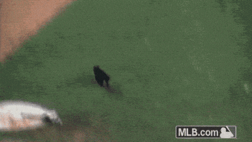 blooper lol GIF by MLB