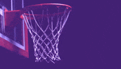 Basketball GIF by StubHub