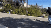 Jump Raptor GIF