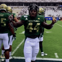 Usf Football GIF by SoFloBulls
