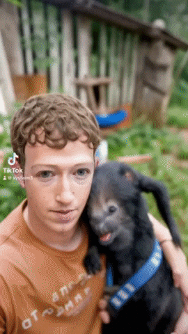 Facebook Trip GIF by systaime