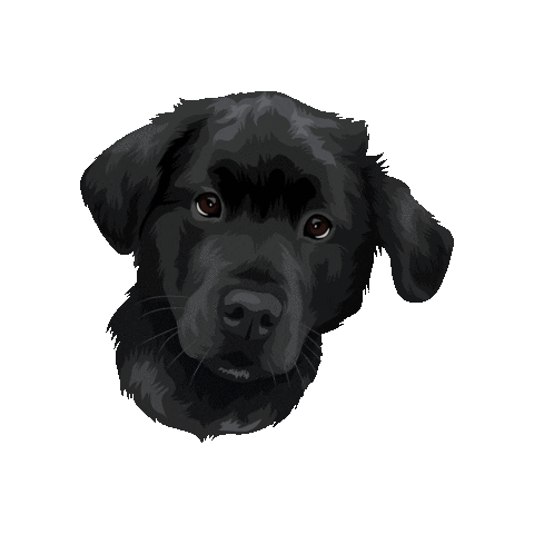 Hastingspp Sticker by Pickle's Pawtraits