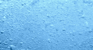 water bubbles GIF by Head Like an Orange