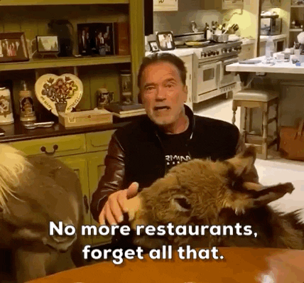 Arnold Schwarzenegger GIF by GIPHY News