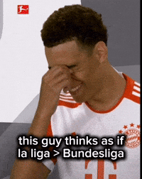 Football Bundesliga GIF