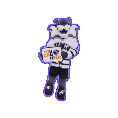 Wildcats Sticker by UNH SHARPP