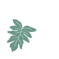 Summer Flower Sticker by Koku Factory