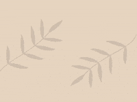 حصن GIF by tzceer