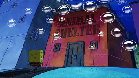 season 9 safe deposit krabs GIF by SpongeBob SquarePants