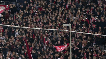 Football Sport GIF by Fortuna Düsseldorf