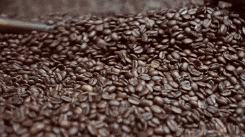 Coffee Beans GIF by Royal Cup Coffee & Tea