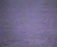 Tell 'Em Hungey Sent Ya