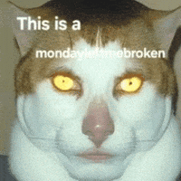 This Is GIF