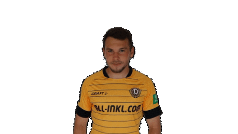 Goal Celebrate Sticker by SG Dynamo Dresden