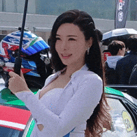 Model GIF