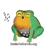 Frog Singing Sticker by Ranita de Darwin ONG