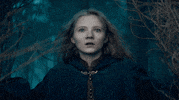 The Witcher GIF by NETFLIX