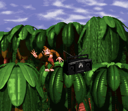 donkey kong country nintendo GIF