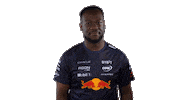 Red Bull Sr Sticker by Oracle Red Bull Racing