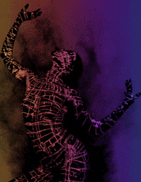 Artist GIF