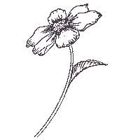 Flower Fiori Sticker