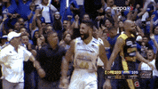 bsnpr bsnpr GIF