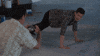 Posing Strike A Pose GIF by MOODMAN