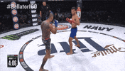 fight mma GIF by Bellator