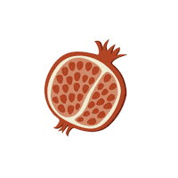 Chicheoupaschichegeneve fruit grenade pomegranate chiche Sticker