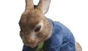 Hungry James Corden Sticker by Peter Rabbit Movie