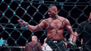 mixed martial arts mma GIF by UFC