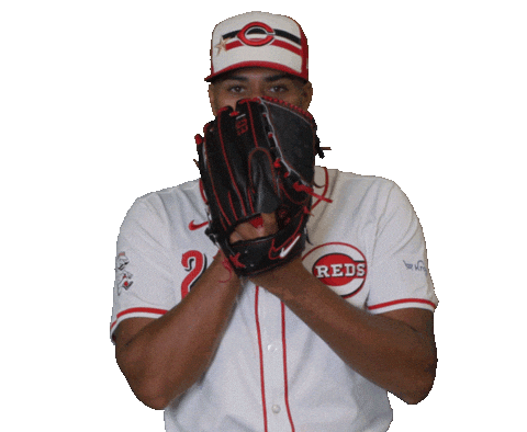 Cincinnati Reds Sport Sticker by MLB