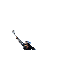 Torreypineslacrosse Sticker by TPLAX