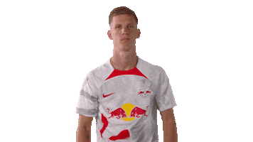 Dani Olmo Football Sticker by RB Leipzig