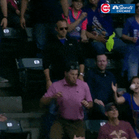 chicago cubs baseball GIF by NBC Sports Chicago