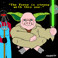 Star Wars Fox GIF by gifnews