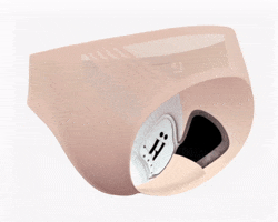 HASTKO horse innovation underwear activewear GIF