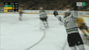 Happy Dallas Stars GIF by FOX Sports Southwest