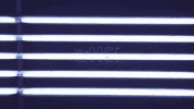 music video taiwan GIF