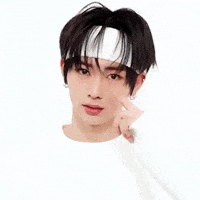 Dicon GIF