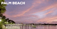 Cremieux brand florida men store GIF