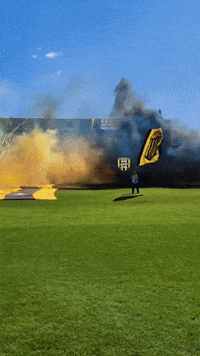MundoBrown fans brown hinchada aurinegro GIF