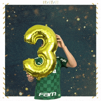 Soccer Futebol GIF by SE Palmeiras